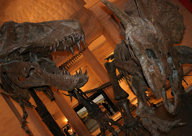 Natural History Museum of Los Angeles County (NHM)
